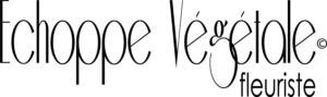 logo echoppe