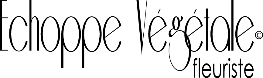 logo echoppe